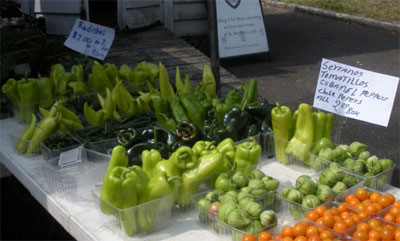 Gorgeous peppers at St. Stephen's market