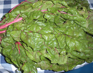 The gorgeous Swiss chard I bought