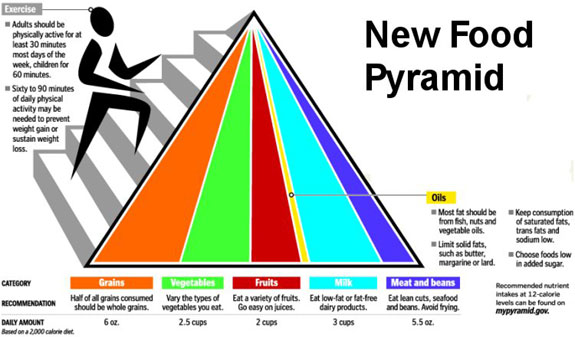 New Food Pyramid