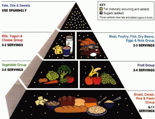 food pyramid pictures of food. New Food Pyramid vs.