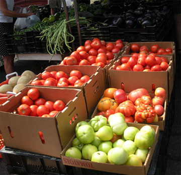 Tomatoes at St. Stephen's Farmer's Market
