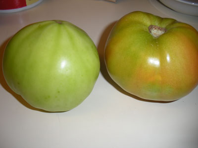 Choose firm, green tomatoes. The one on the right is actually not green enough.